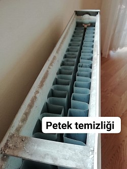 Petek temizliği (öncesi)